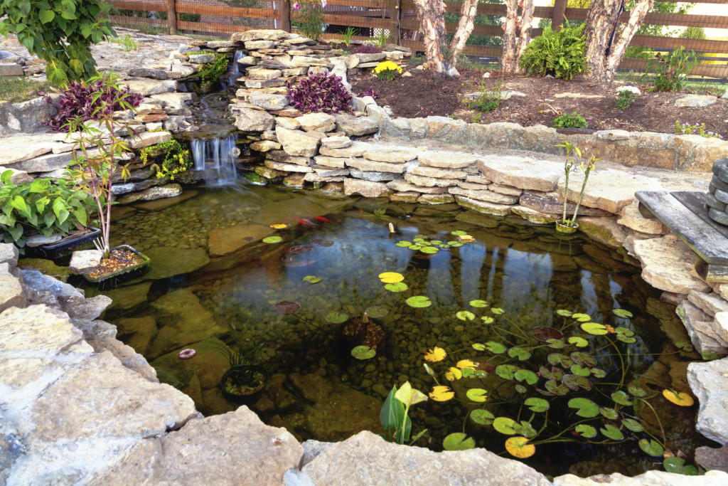 Build A Pond Water Rocks