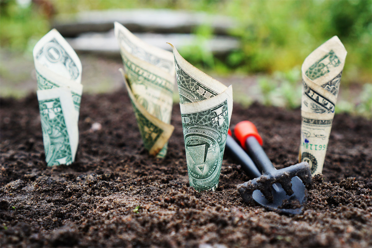 Budget For Landscaping Money Soil