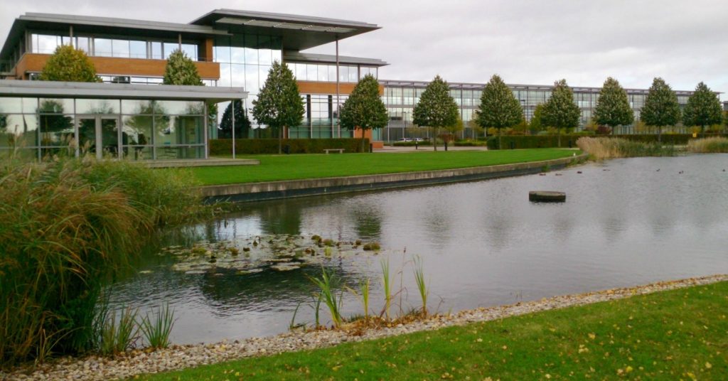 Commercial Landscaper Building Water Grass