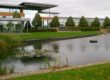 Commercial Landscaper Building Water Grass