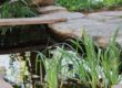Pond Can Boost Your Backyard