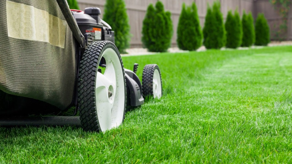 Maintain a Healthy Lawn Mower