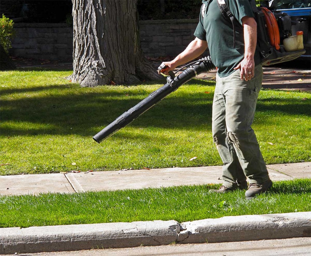 Need Your Landscaper Blower