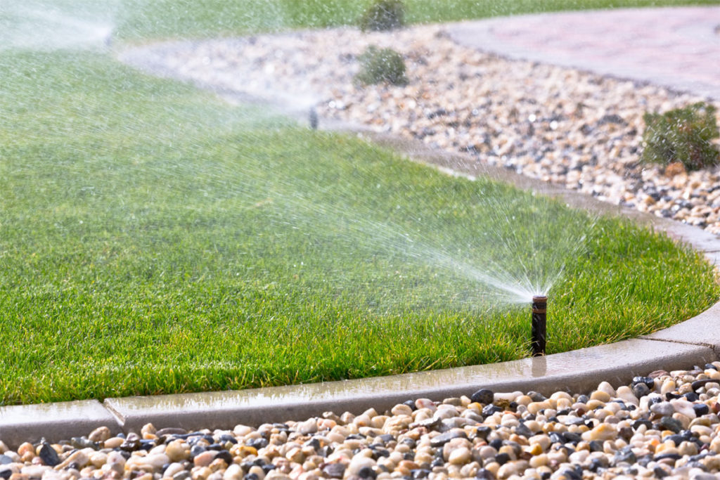 Watering Plants Summer Sprinkler