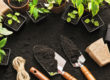 Keep Soil Fresh Tools Plants