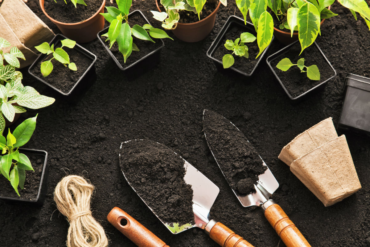 Keep Soil Fresh Tools Plants