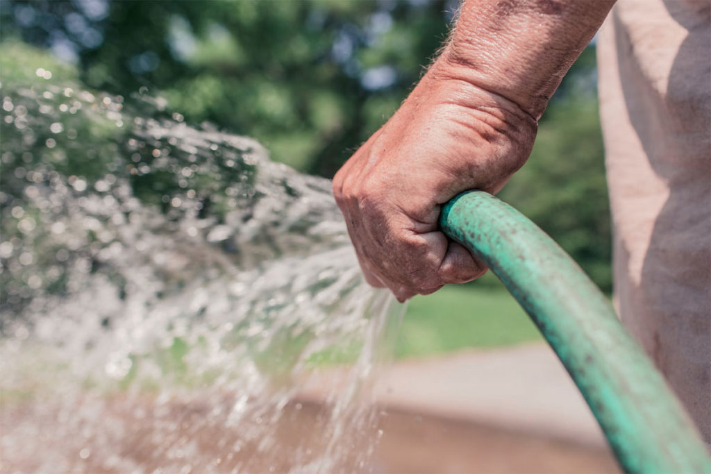 Landscaping Process