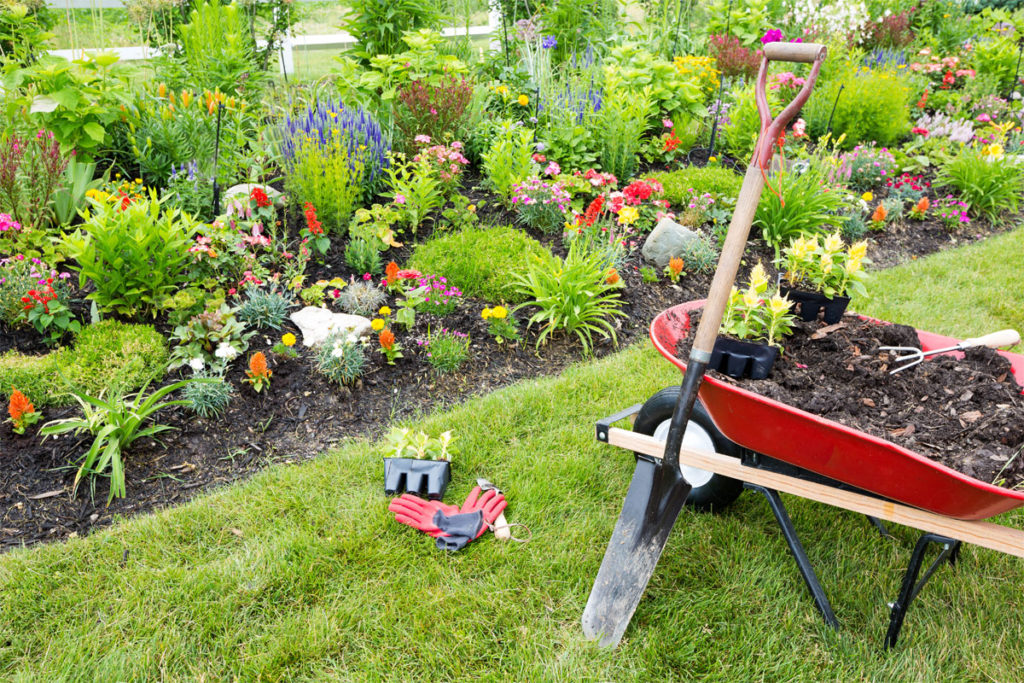 Landscaping Trends Shovel Soil