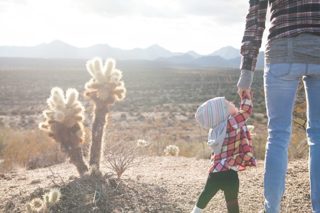 Hiring A Landscaper Cactus Baby