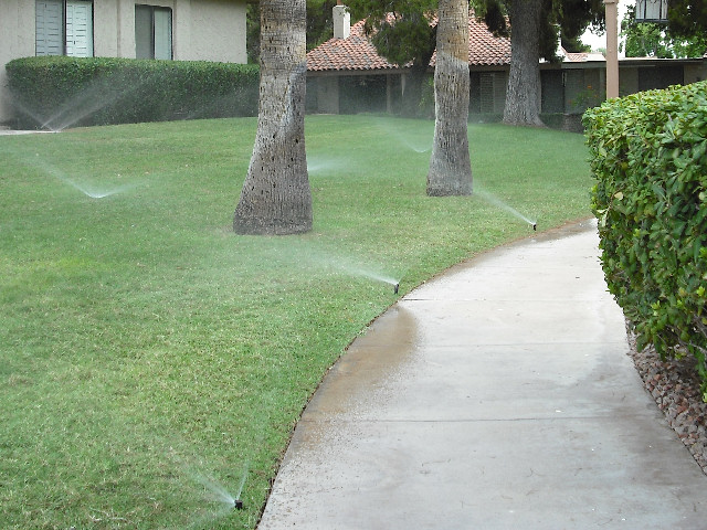 Irrigation Management Services Sprinkler