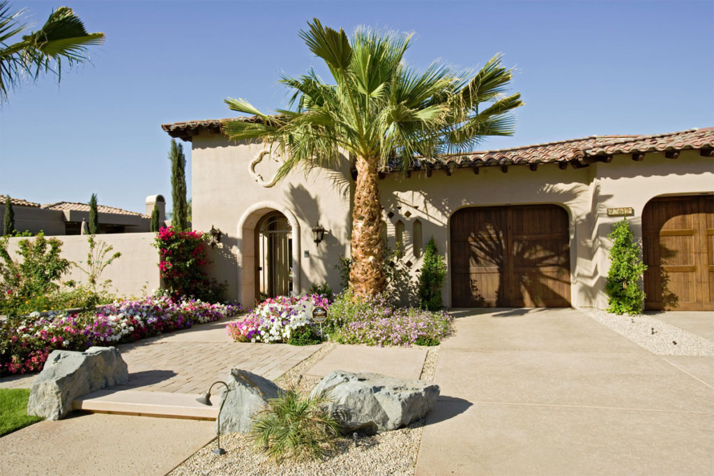 Palm Tree Trimming House Driveway